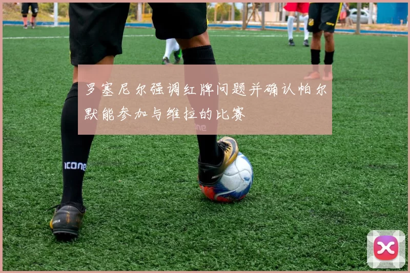 罗塞尼尔强调红牌问题并确认帕尔默能参加与维拉的比赛